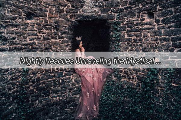 Nightly Rescues Unraveling the Mystical Significance of Being Saved by Military Men in Dreams